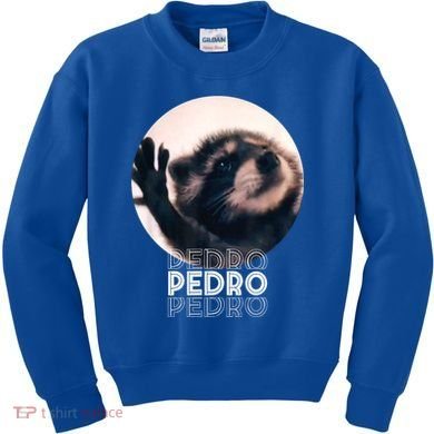 Pedro Racoon Dance Popular Internet Meme Mapache Dance Kids Sweatshirt