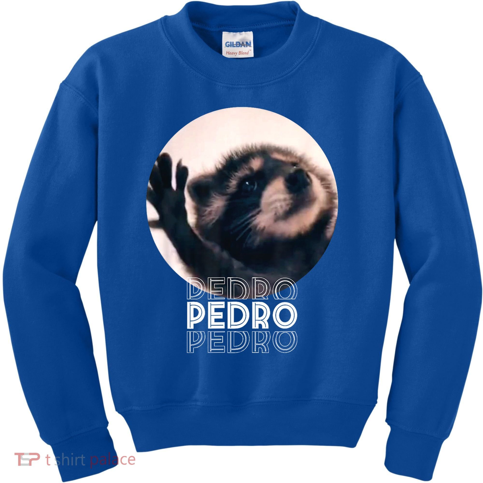 Pedro Racoon Dance Popular Internet Meme Mapache Dance Kids Sweatshirt
