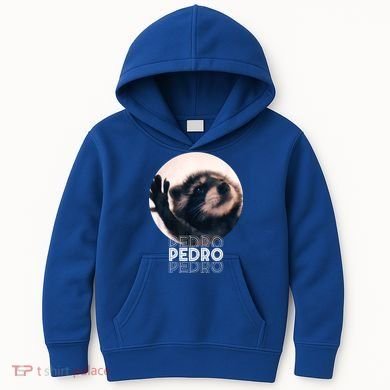 Pedro Racoon Dance Popular Internet Meme Mapache Dance Kids Hoodie