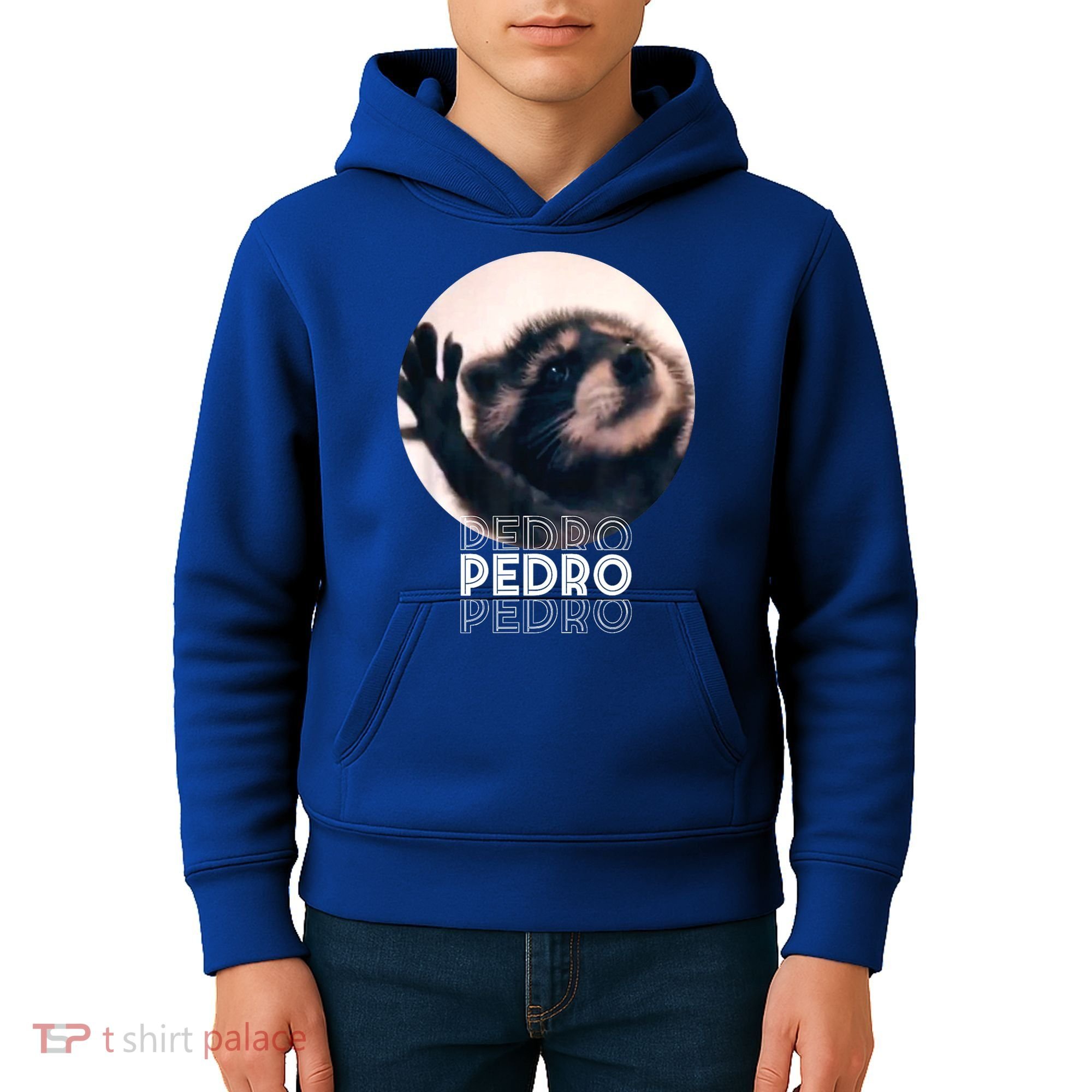 Pedro Racoon Dance Popular Internet Meme Mapache Dance Kids Hoodie