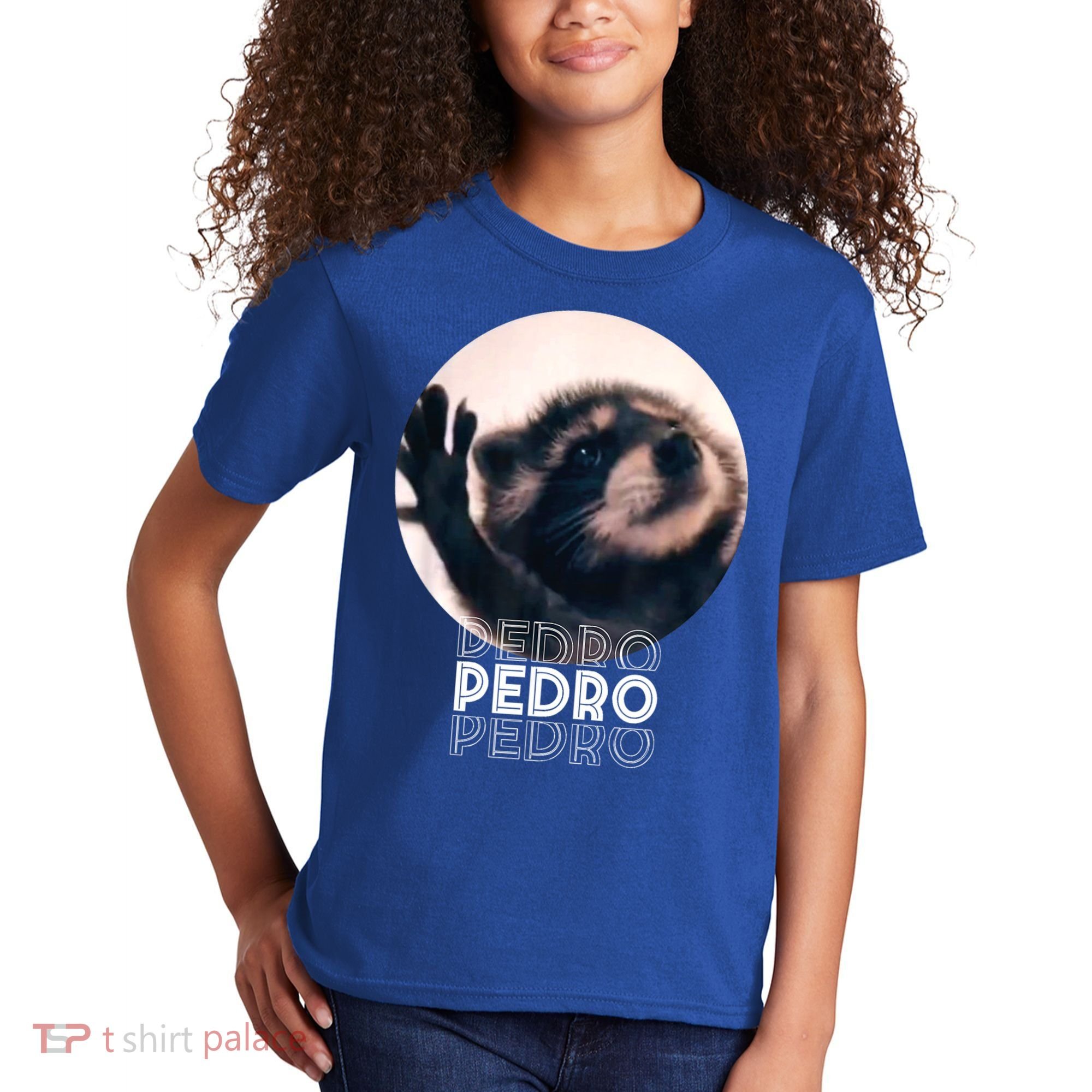 Pedro Racoon Dance Popular Internet Meme Mapache Dance Kids T-Shirt