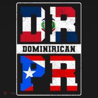 Puerto Rican Dominican Republic Dominirican Flag Pride Meaningful Gift Ornament thumb 1