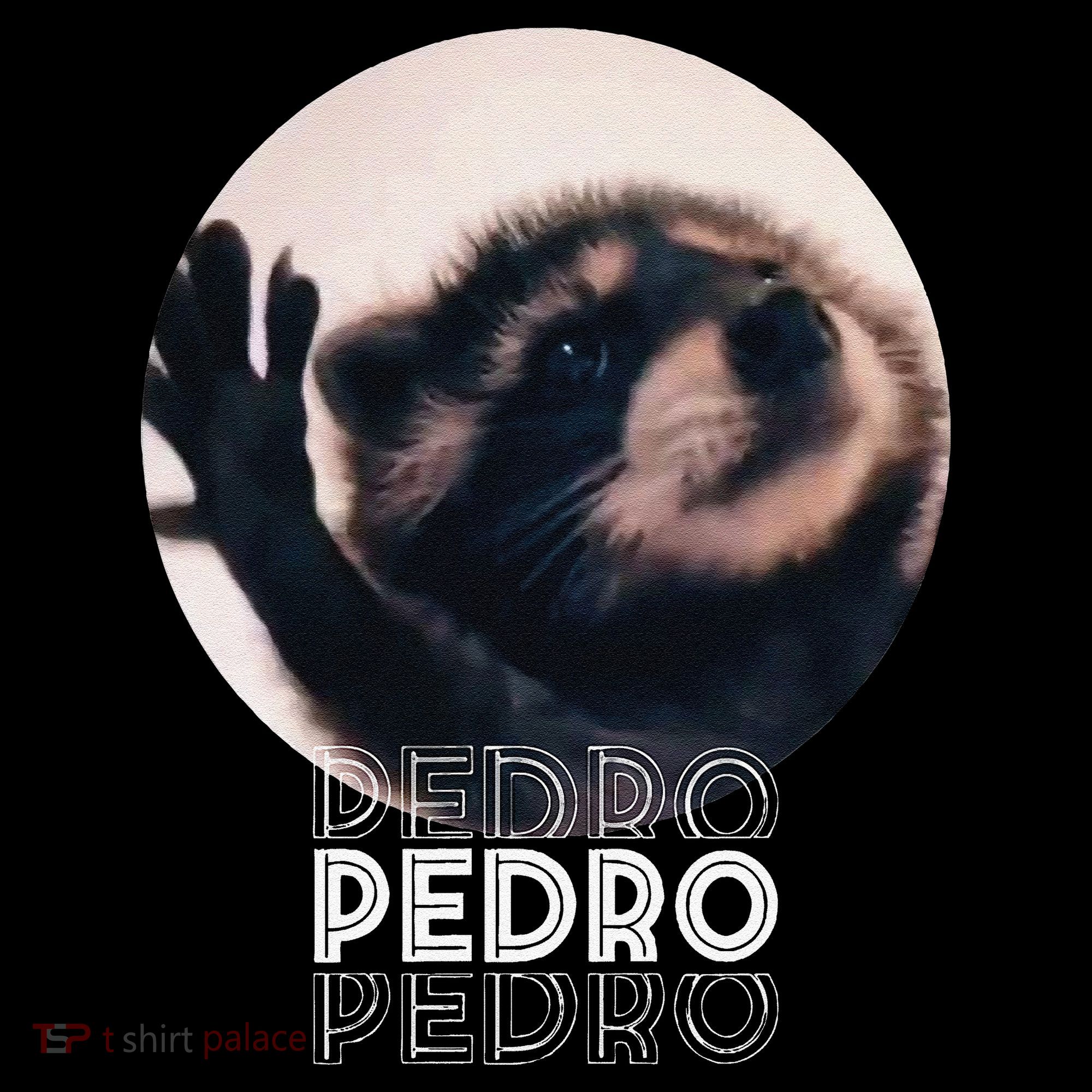 Pedro Racoon Dance Popular Internet Meme Mapache Dance Coffee Mug