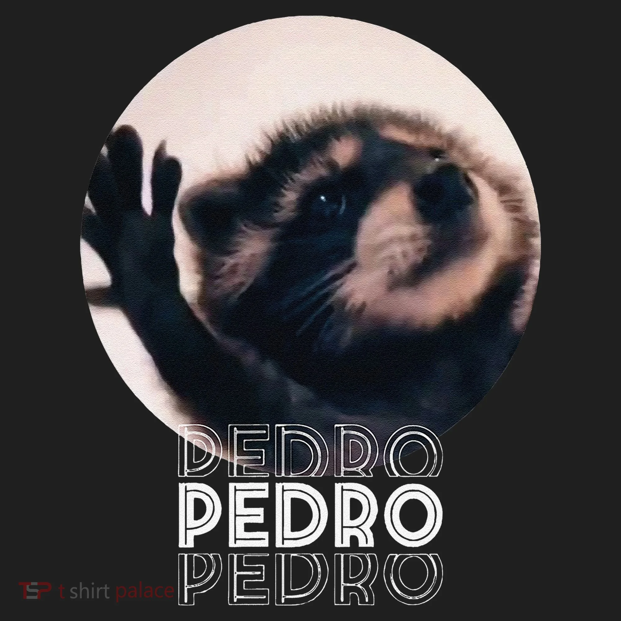 Pedro Racoon Dance Popular Internet Meme Mapache Dance Hat