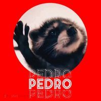 Pedro Racoon Dance Popular Internet Meme Mapache Dance Santa Hat thumb 1