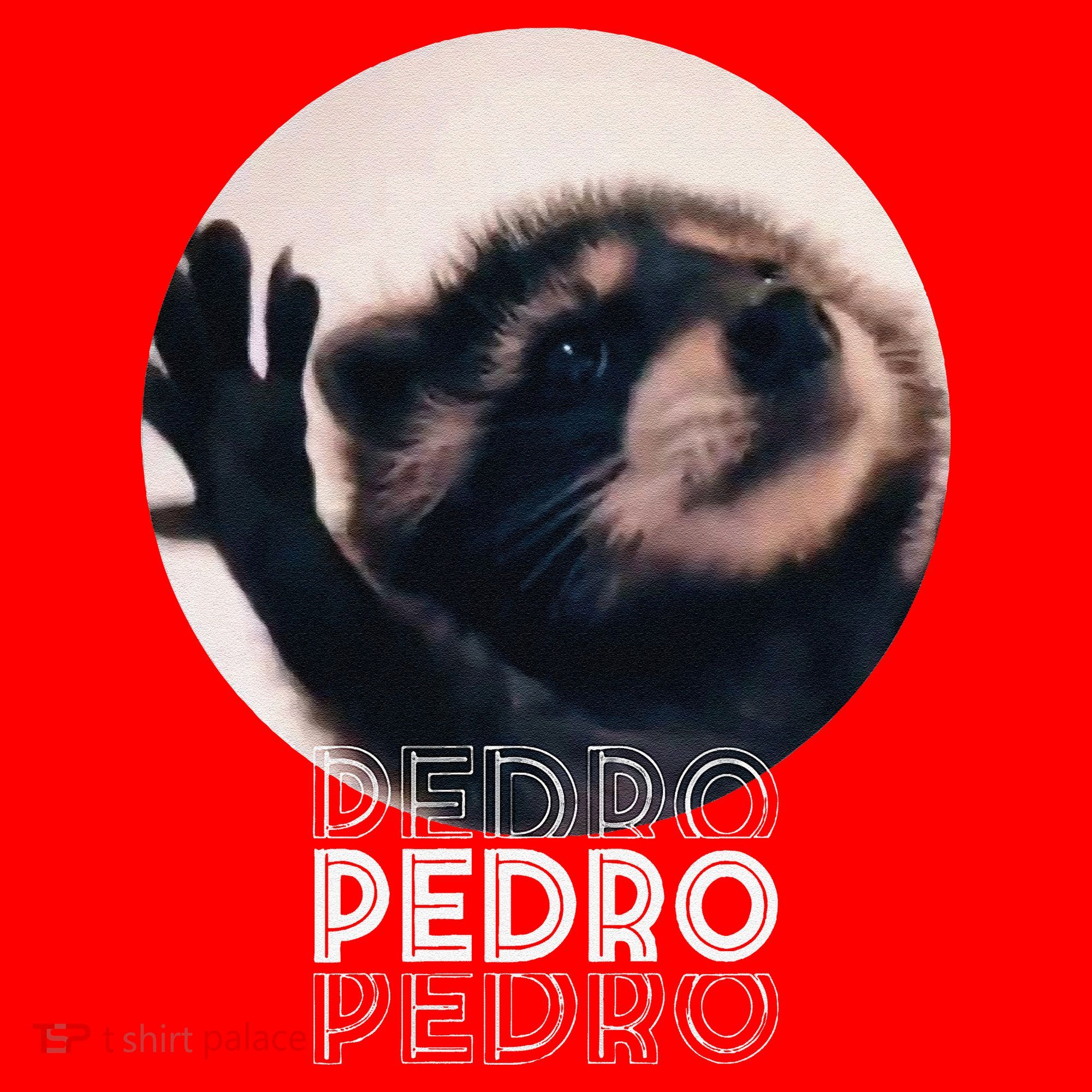 Pedro Racoon Dance Popular Internet Meme Mapache Dance Santa Hat