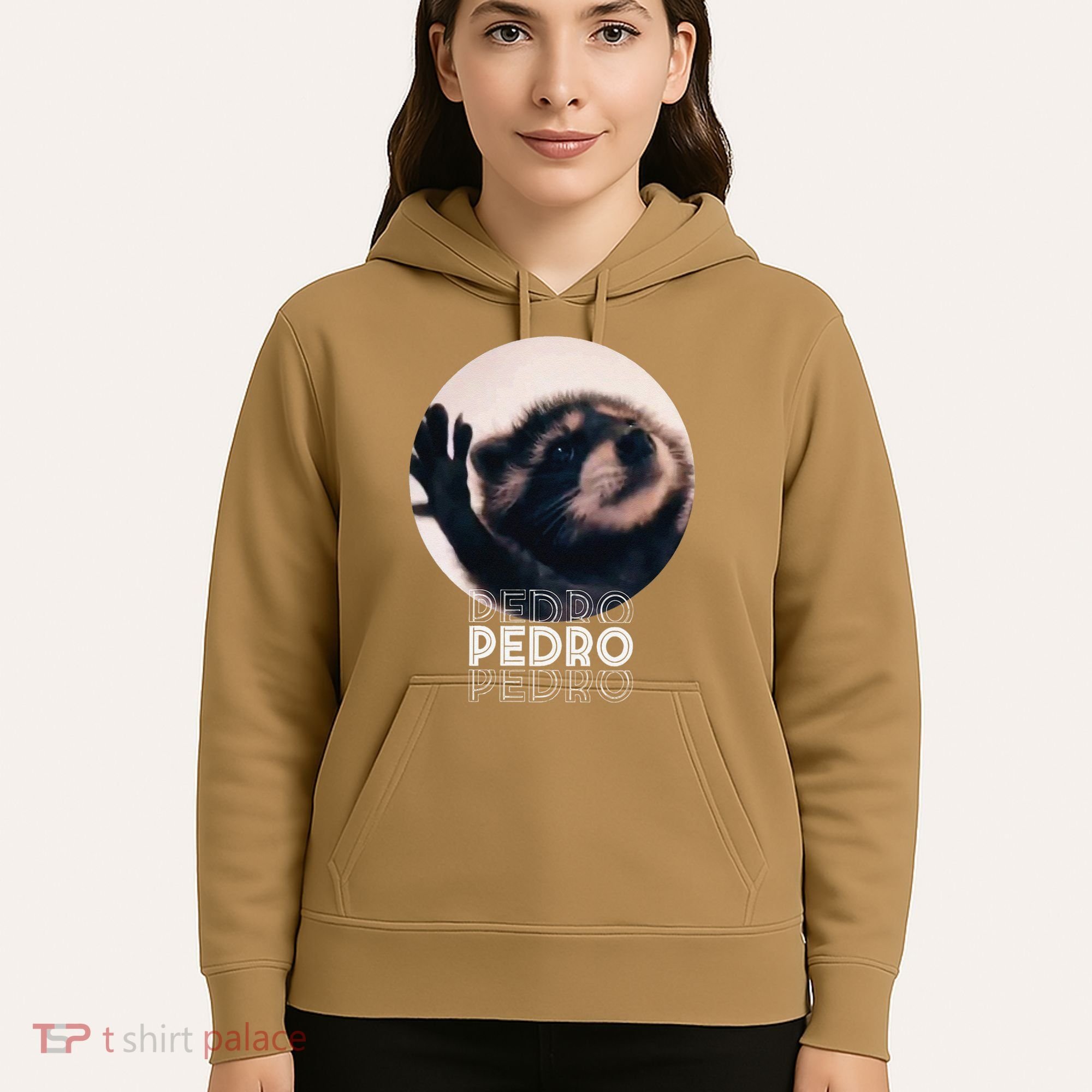 Pedro Racoon Dance Popular Internet Meme Mapache Dance Hoodie