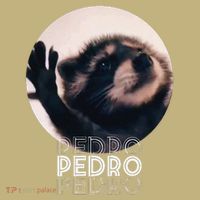 Pedro Racoon Dance Popular Internet Meme Mapache Dance Sweatshirt thumb 2
