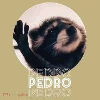 Pedro Racoon Dance Popular Internet Meme Mapache Dance Sweatshirt thumb 2