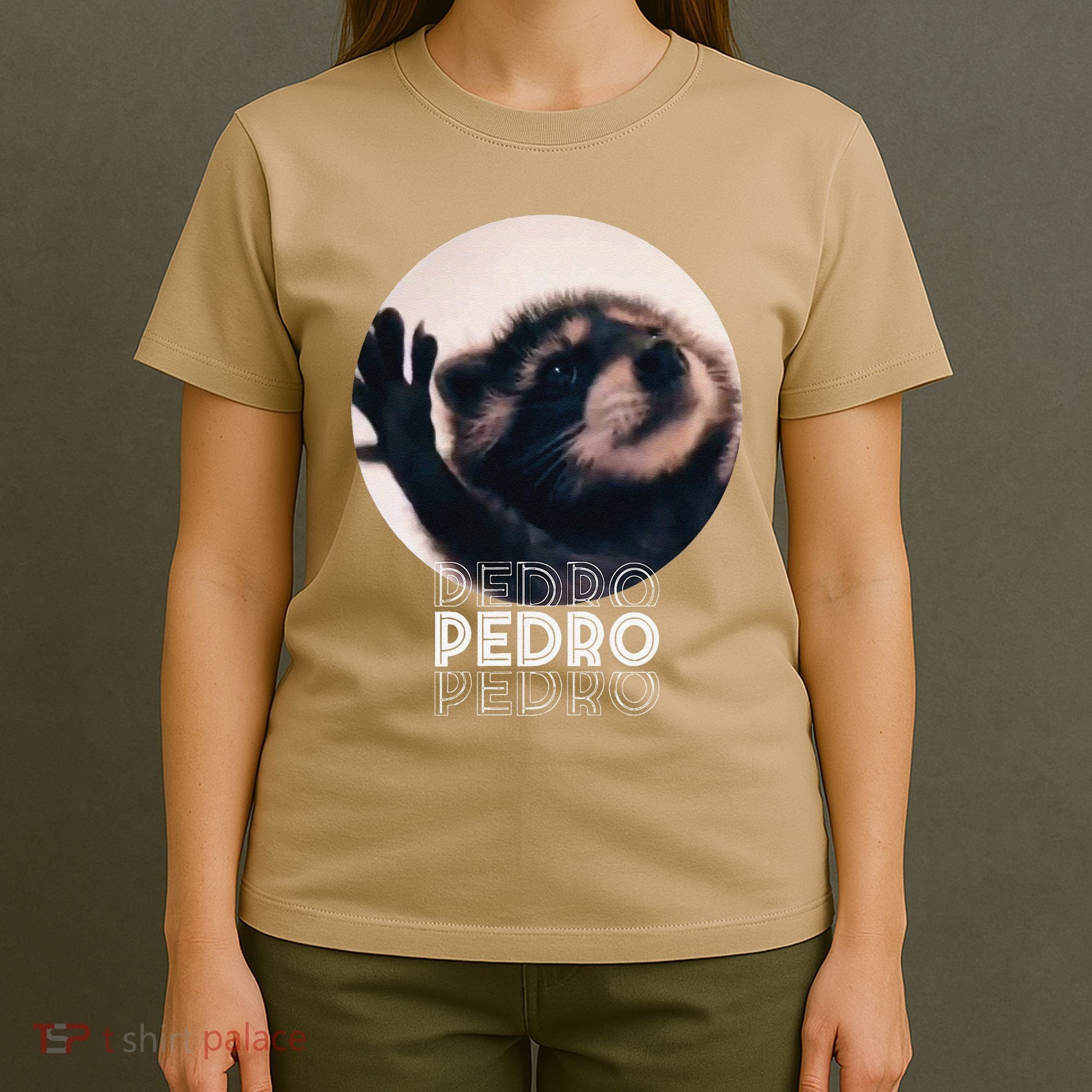 Pedro Racoon Dance Popular Internet Meme Mapache Dance T-Shirt