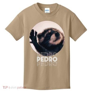 Pedro Racoon Dance Popular Internet Meme Mapache Dance Kids T-Shirt