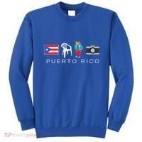 Puerto Rico Dtmf Sweatshirt thumb 0