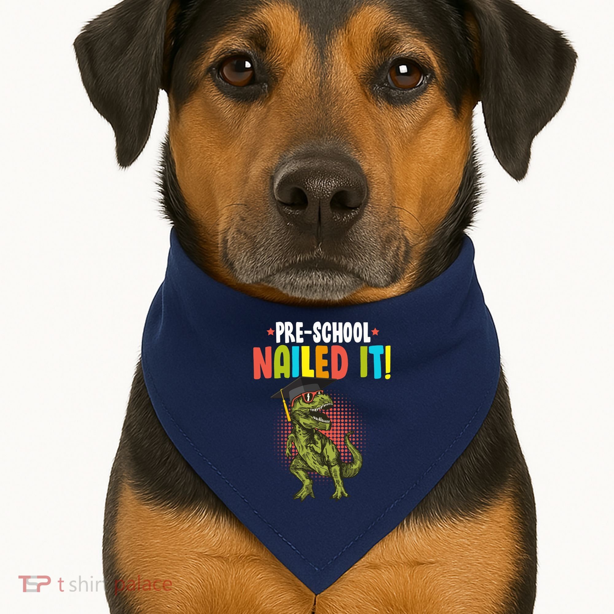 Pre-School Nailed it USA-Made Doggie Bandana