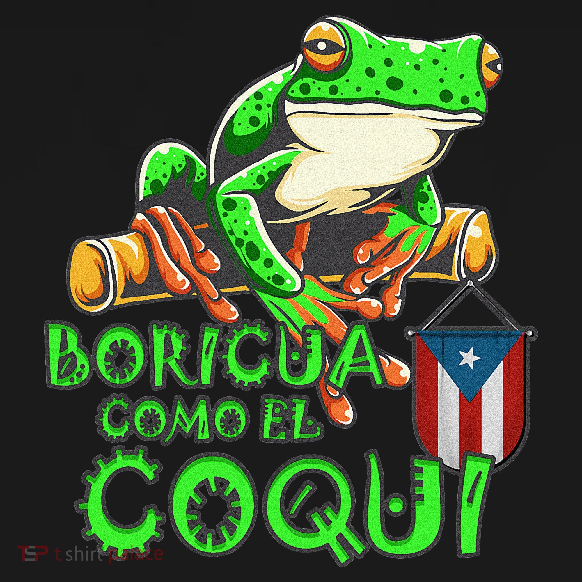 Puerto Rico Frog Puerto Rican Roots Coqui Taino Boricua Gift Hoodie