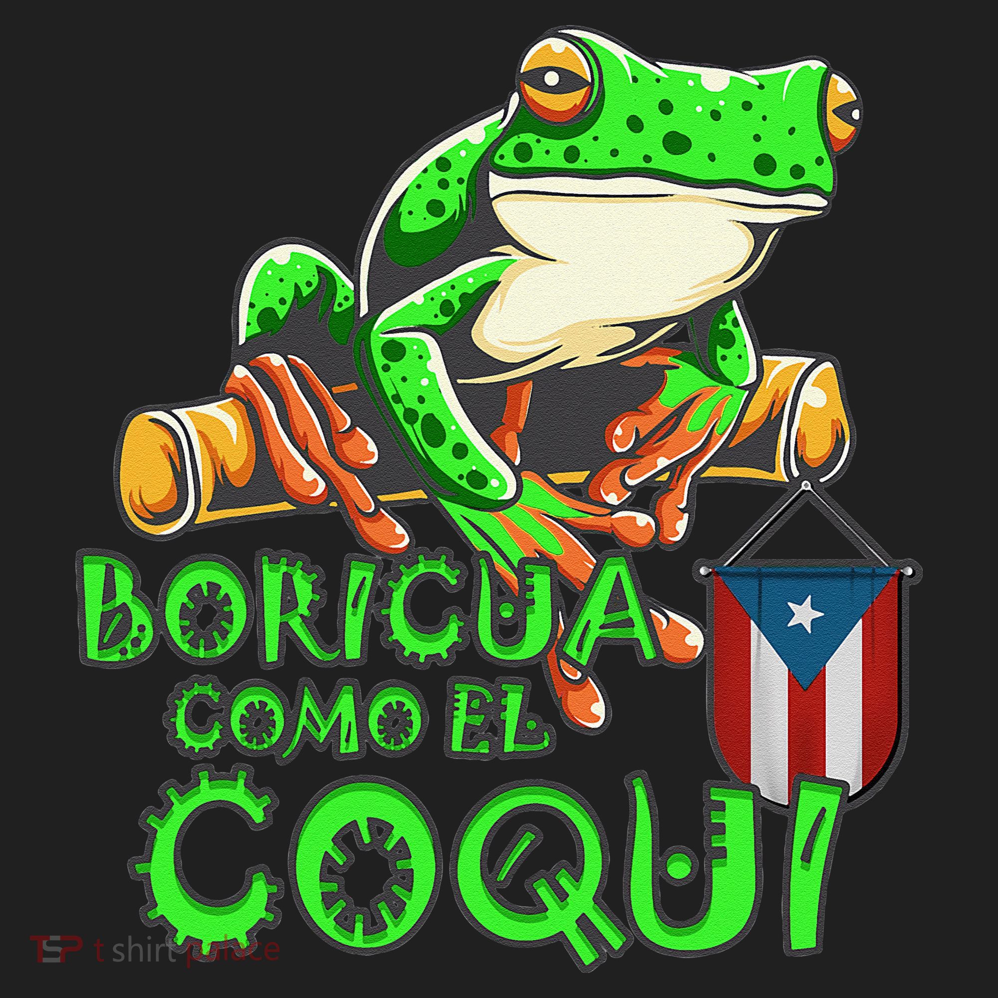Puerto Rico Frog Puerto Rican Roots Coqui Taino Boricua Gift Beanie