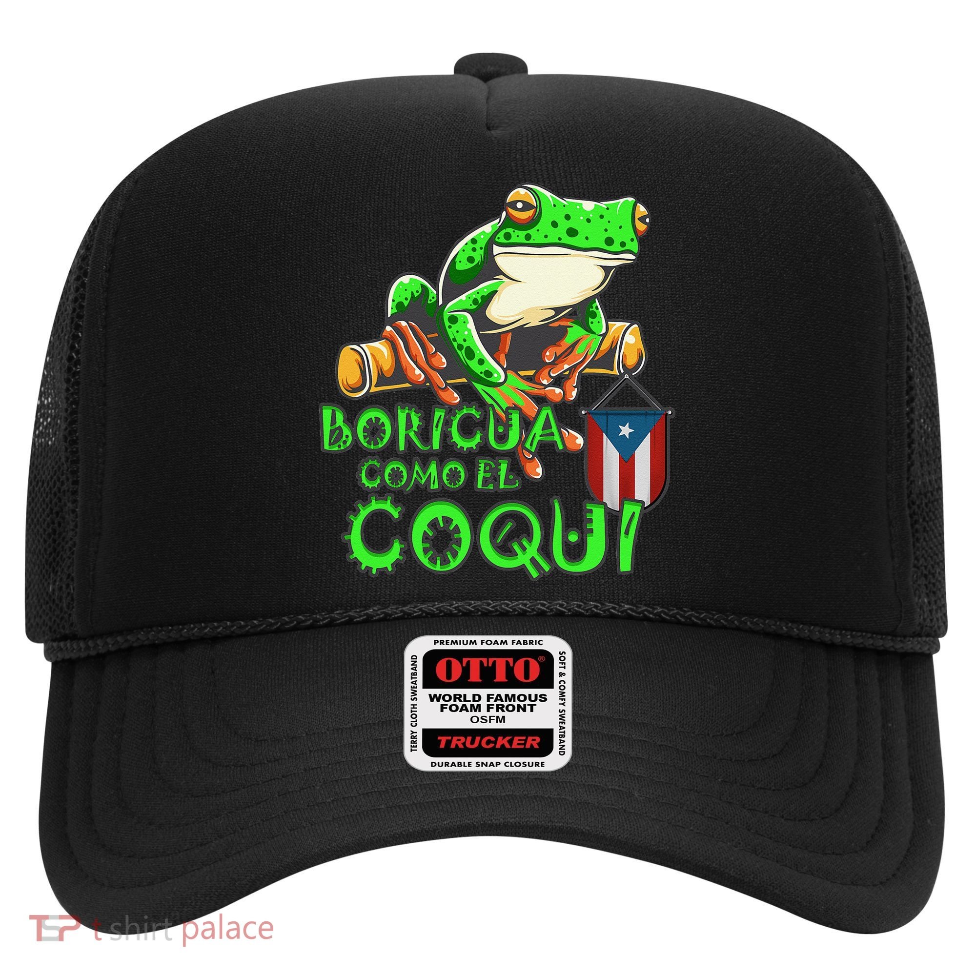 Puerto Rico Frog Puerto Rican Roots Coqui Taino Boricua Gift Hat