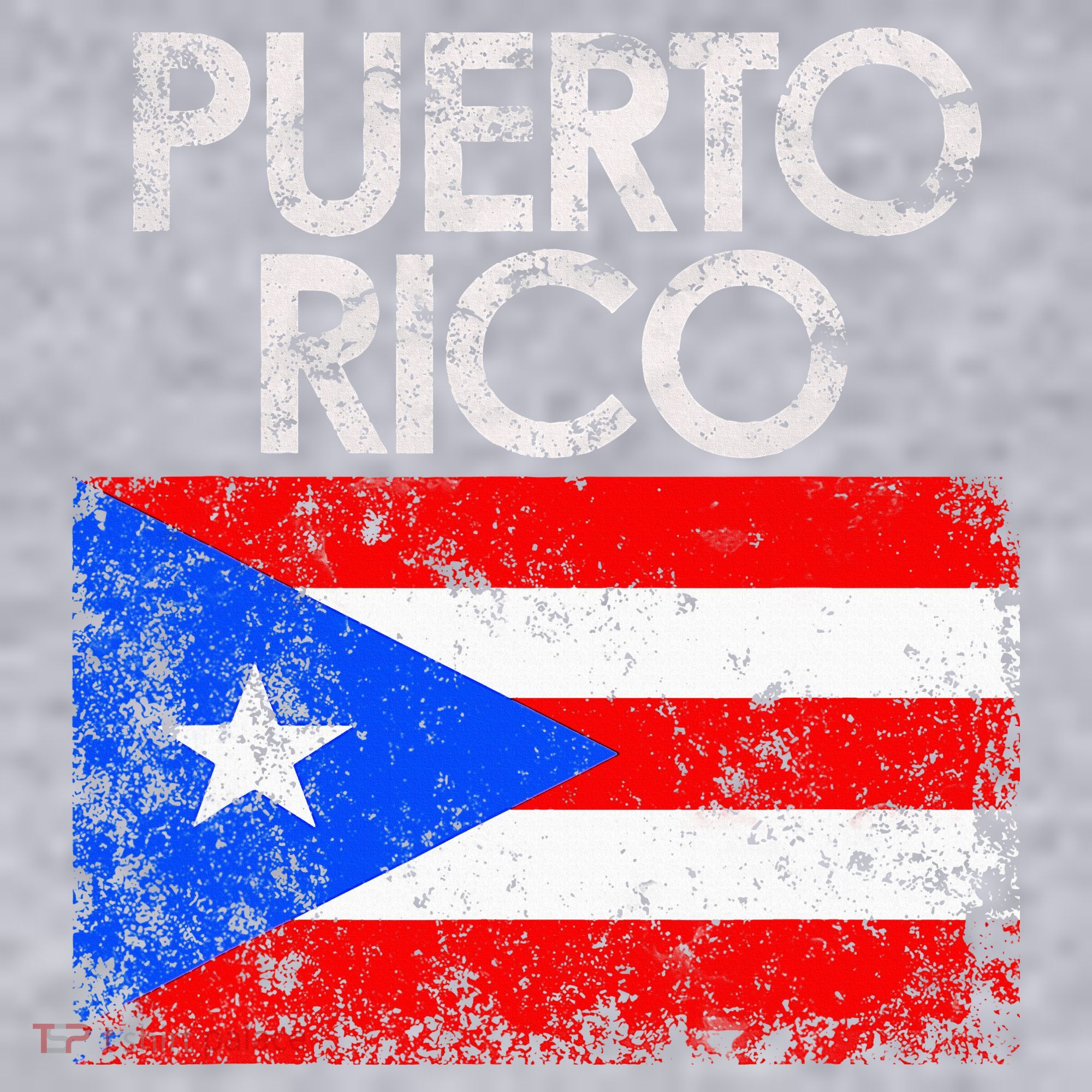 Puerto Rico Flag Pride Souvenir Retro Island Gift Women's Sweatshirt