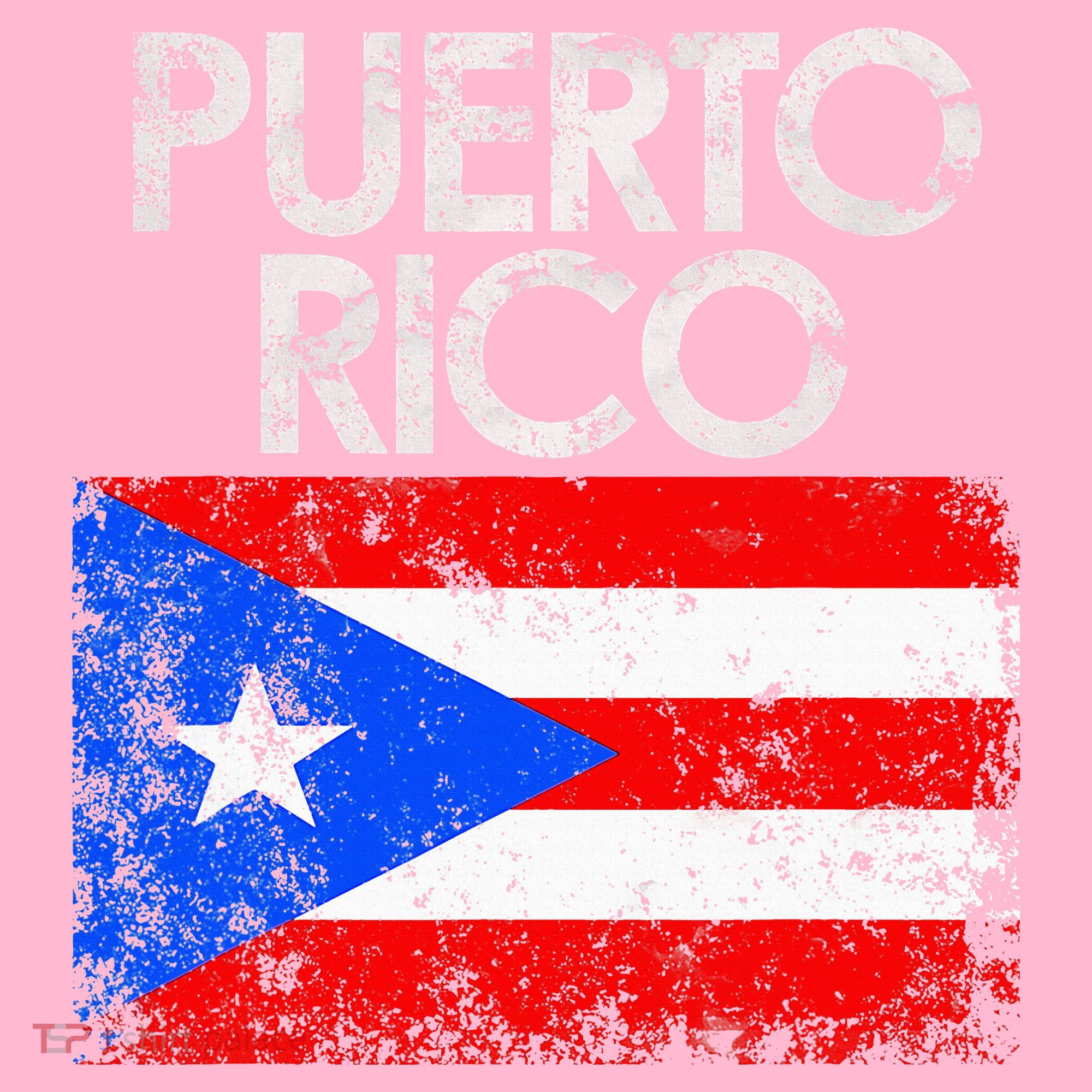 Puerto Rico Flag Pride Souvenir Retro Island Gift Coaster