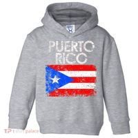 Puerto Rico Flag Pride Souvenir Retro Island Gift Toddler Hoodie thumb 0