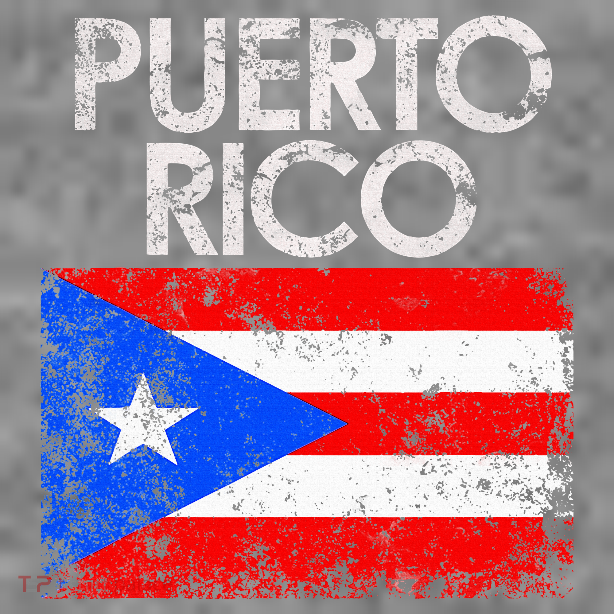 Puerto Rico Flag Pride Souvenir Retro Island Gift Toddler Hoodie