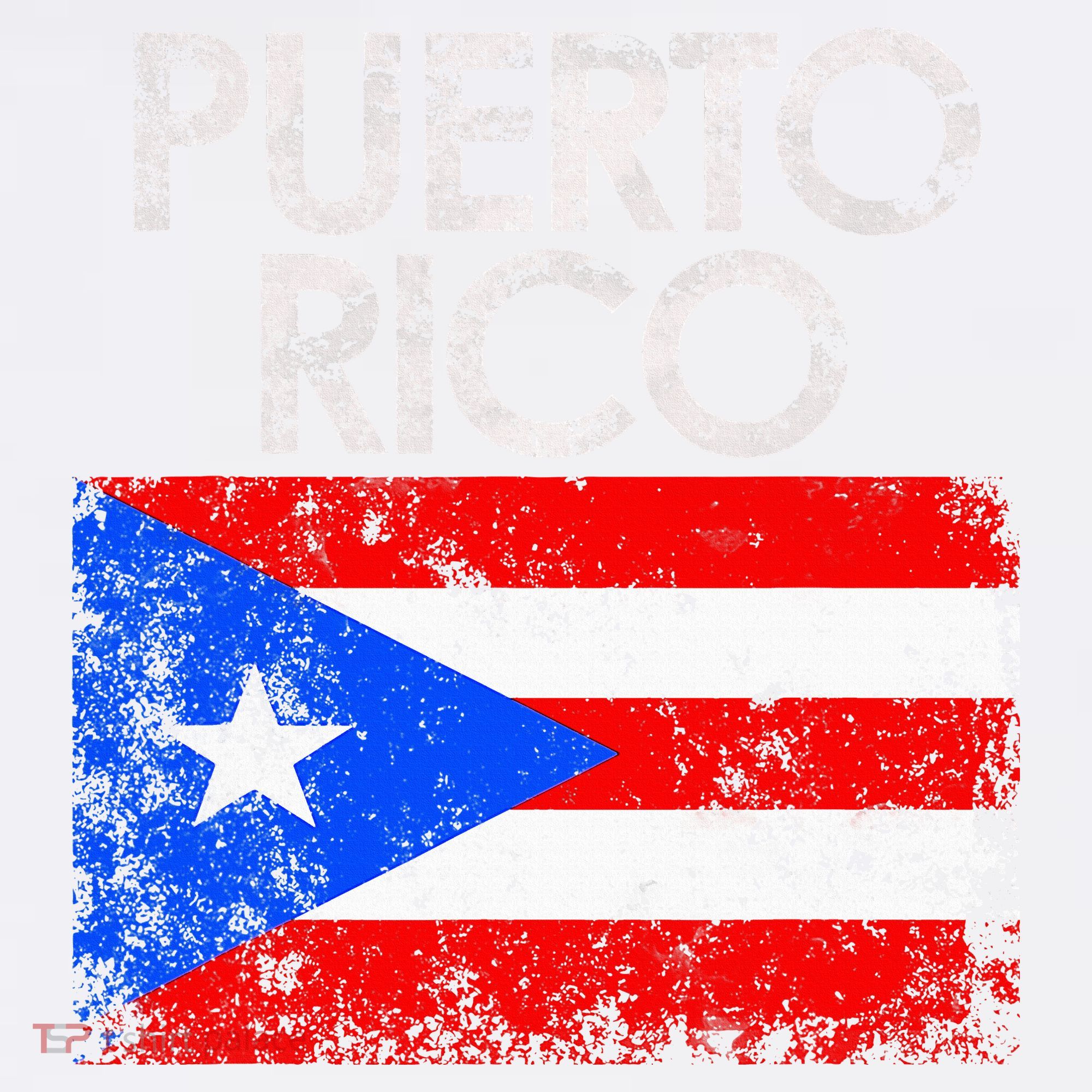 Puerto Rico Flag Pride Souvenir Retro Island Gift Sweatshirt