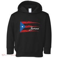 Puerto Rico Flag Boricua Toddler Hoodie thumb 0