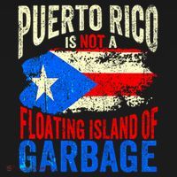 Puerto Rico Is Not A Floating Island Of Garbage Hoodie thumb 7