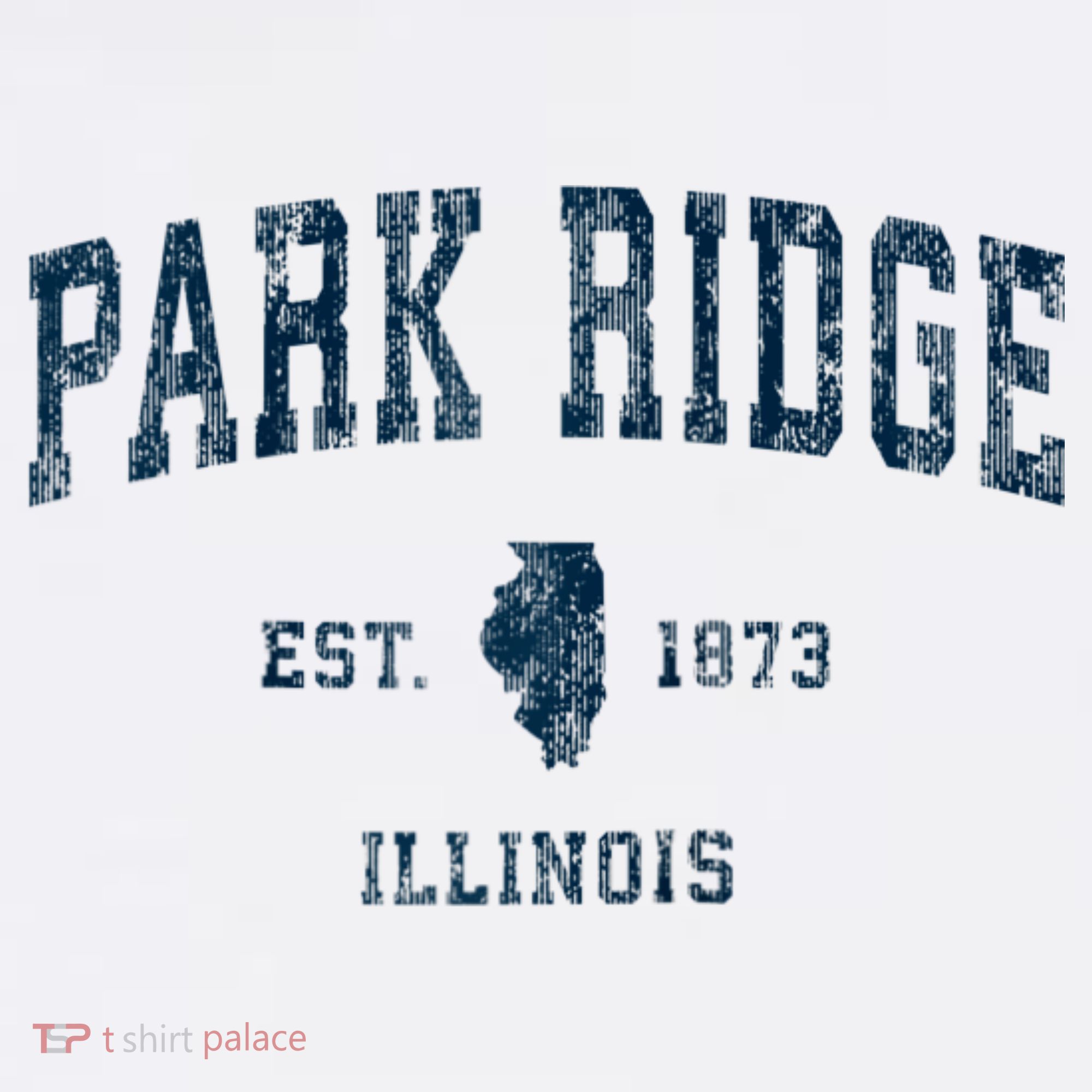 Park Ridge Illinois Il Vintage Sports T-Shirt