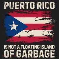 Puerto Rico Is Not A Floating Island Of Garbage Beanie thumb 2