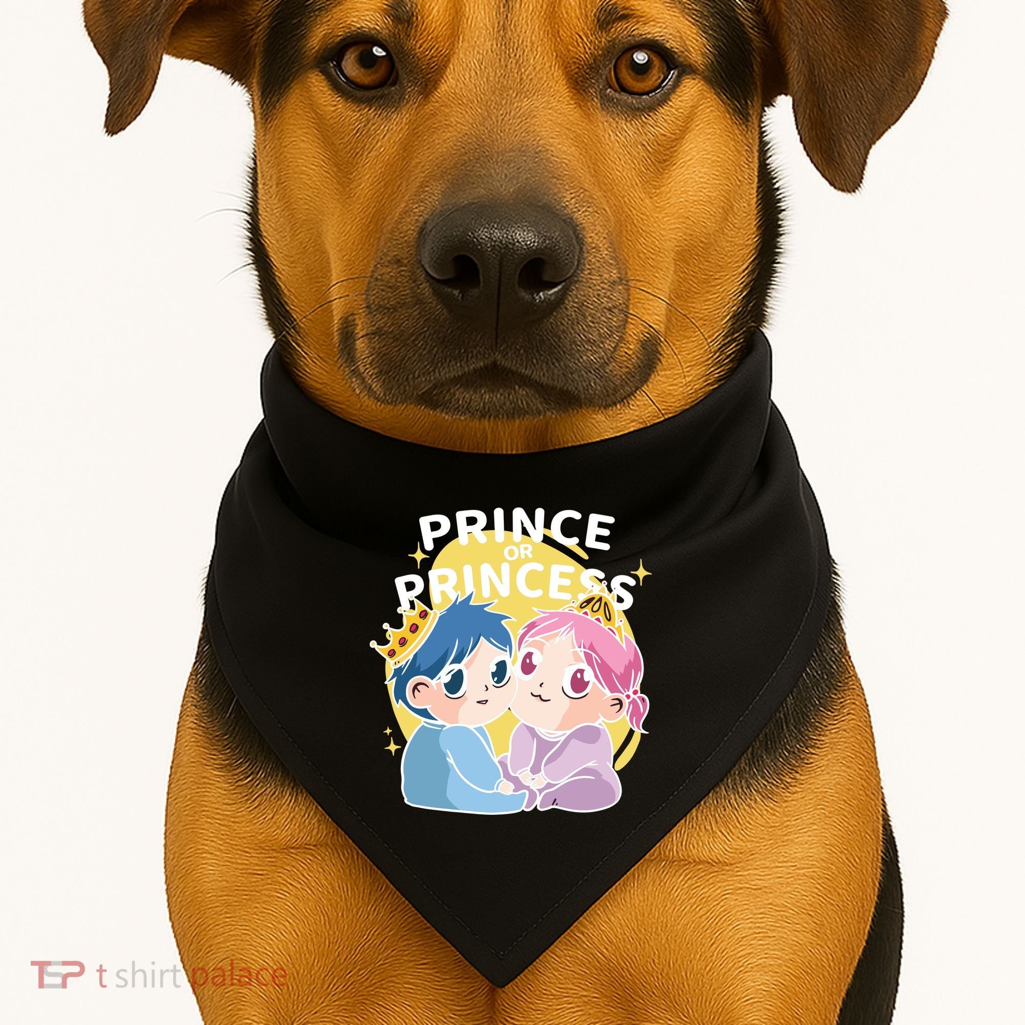 Prince Or Princess Babies USA-Made Doggie Bandana