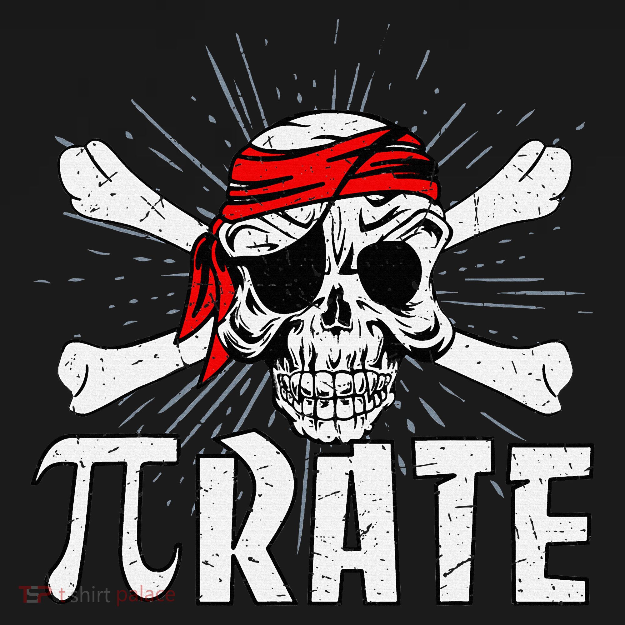 Pi Rate Math Teacher Halloween Costume Funny Pi Pirate Coaster