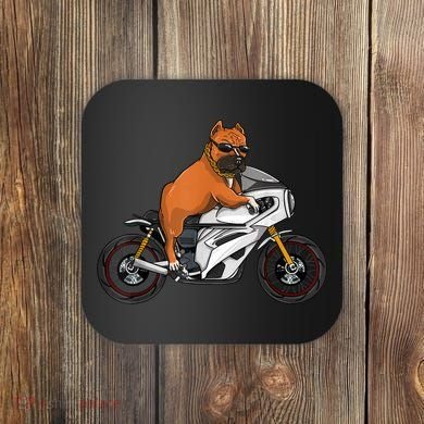Pitbull Riding Motorcycle Funny Pit Bull Biker Pittie Dog Coaster