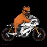 Pitbull Riding Motorcycle Funny Pit Bull Biker Pittie Dog Coaster thumb 2