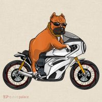 Pitbull Riding Motorcycle Funny Pit Bull Biker Pittie Dog T-Shirt thumb 2