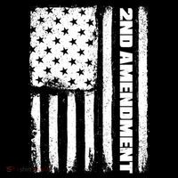 Pro 2nd Amendment American Flag T-Shirt thumb 7