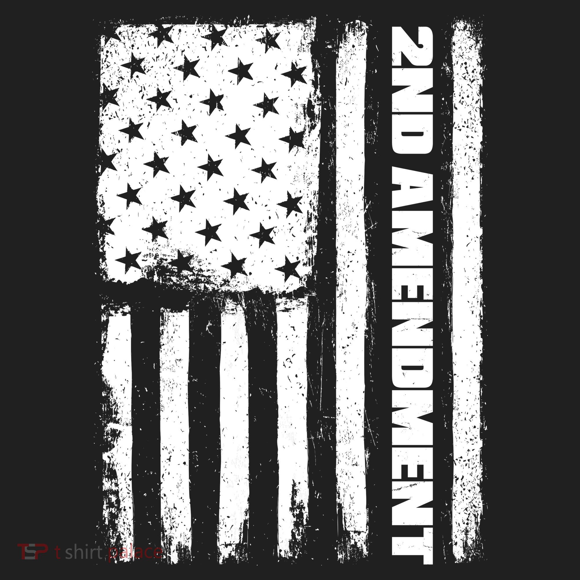 Pro 2nd Amendment American Flag Hat