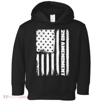 Pro 2nd Amendment American Flag Toddler Hoodie