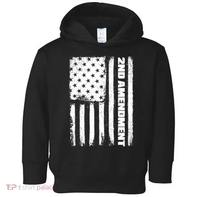 Pro 2nd Amendment American Flag Toddler Hoodie