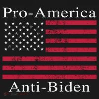Pro-America Anti-Biden Hoodie thumb 2
