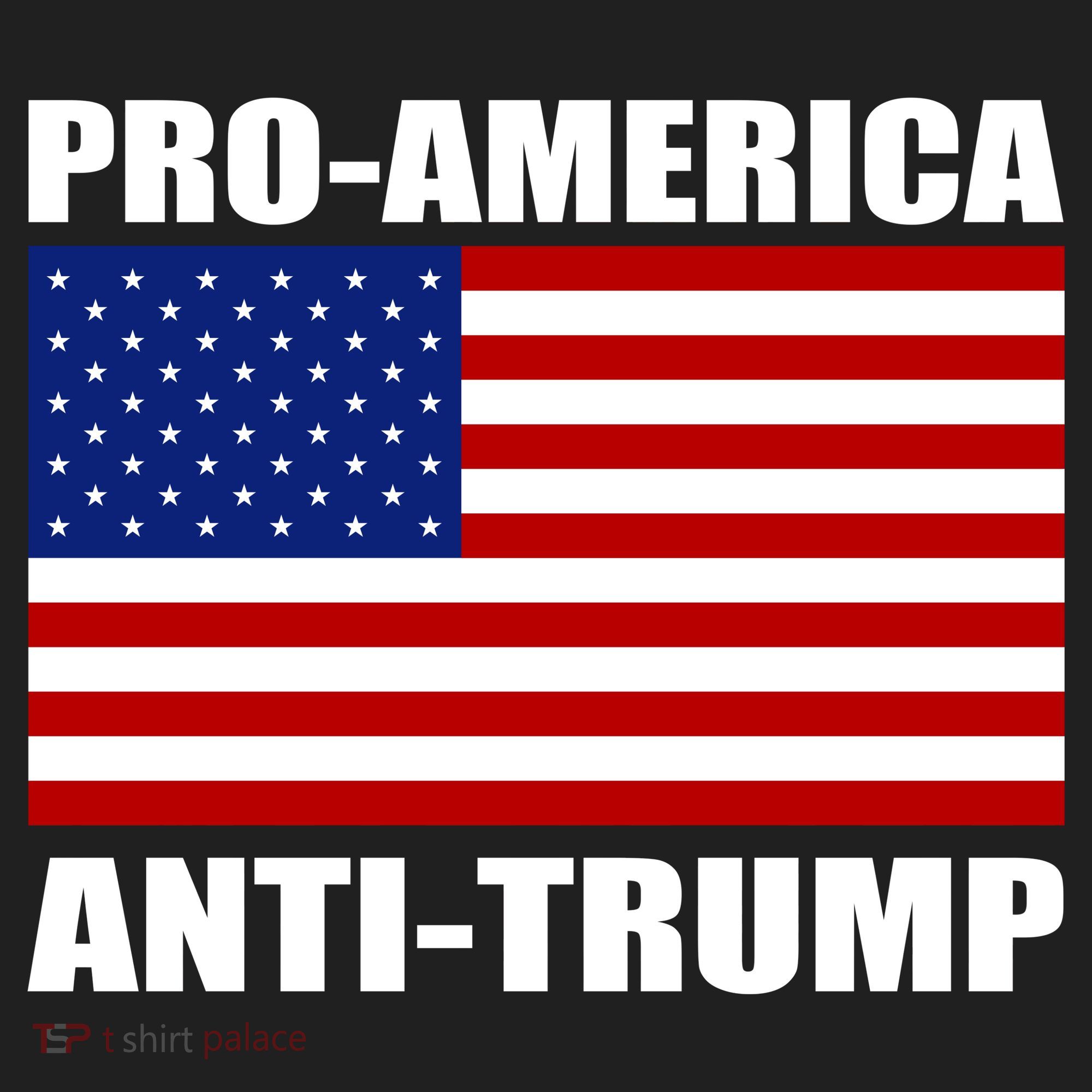 Pro America Anti Trump Beanie