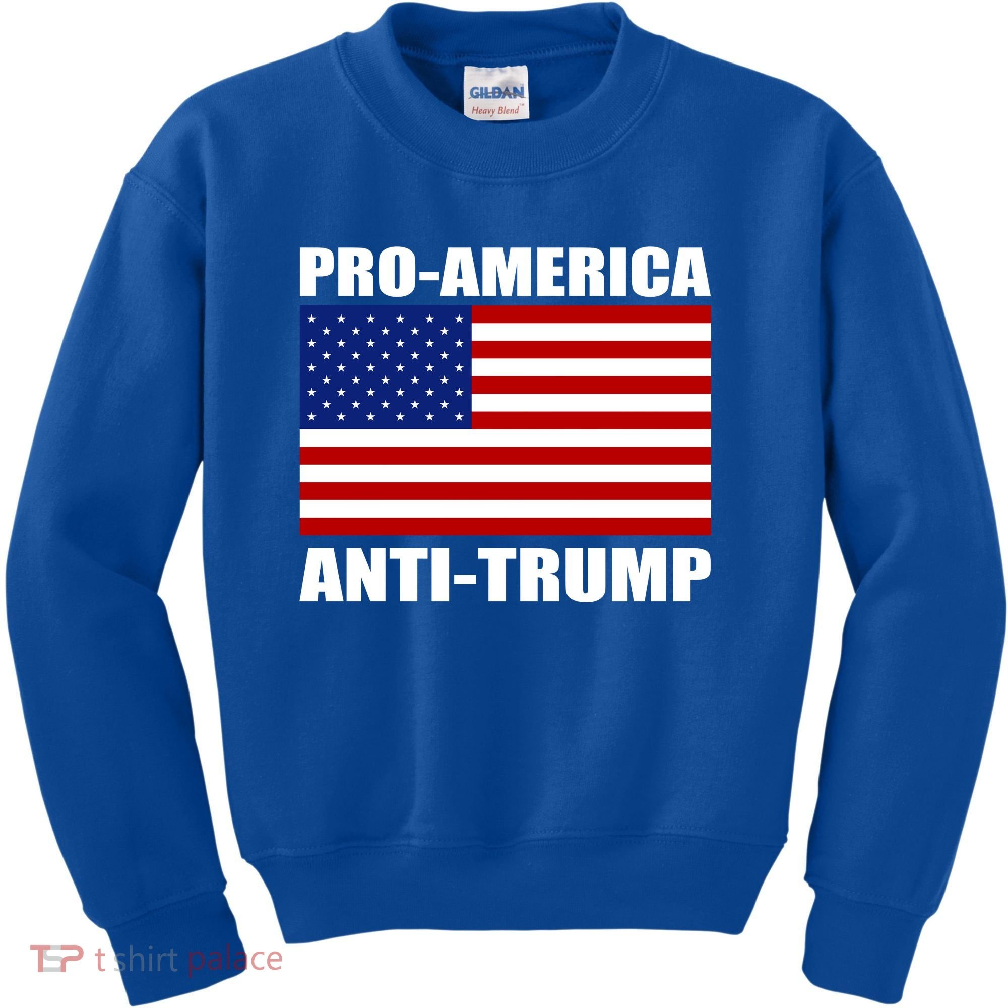 Pro America Anti Trump Kids Sweatshirt