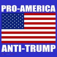Pro America Anti Trump Kids Hoodie thumb 5