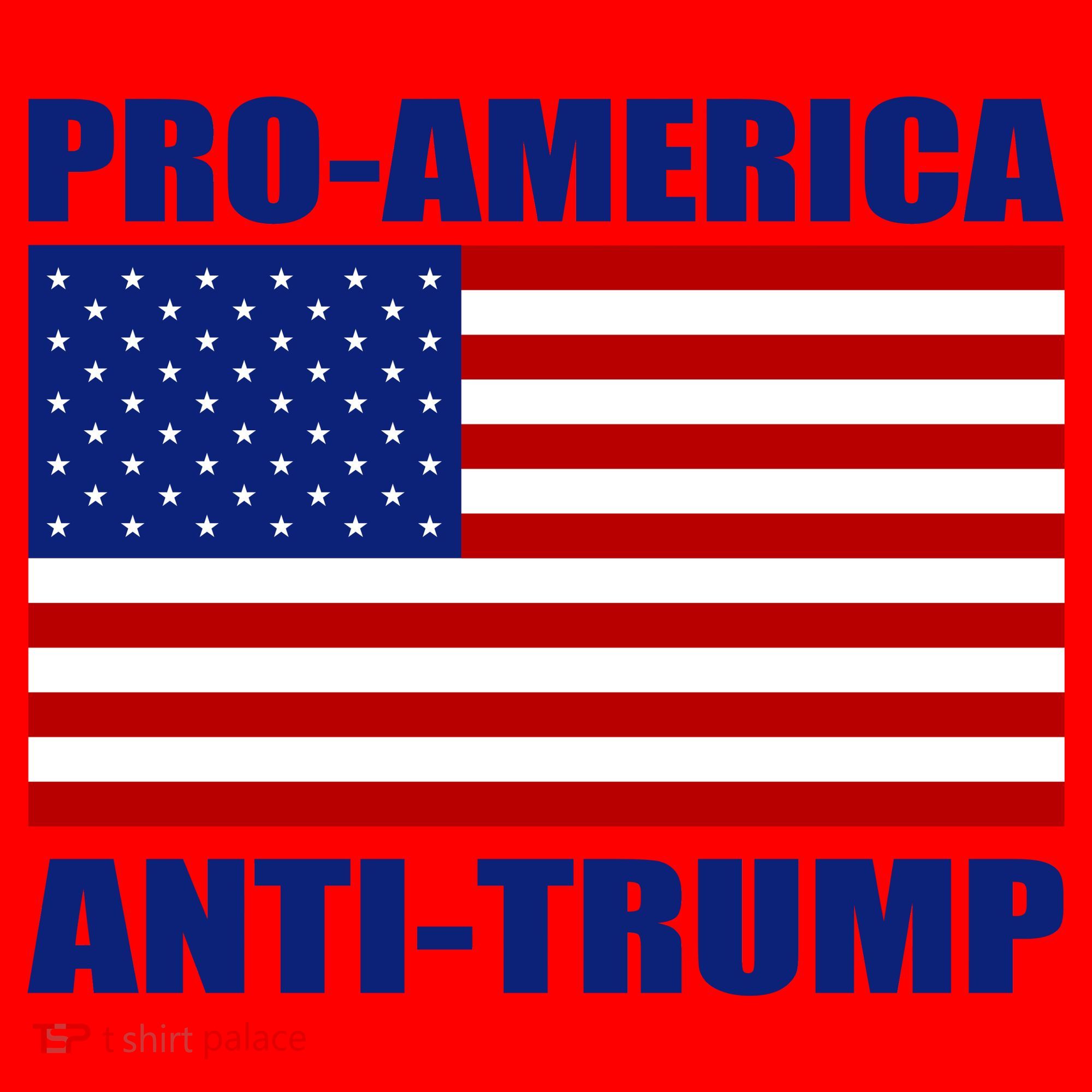 Pro America Anti Trump Santa Hat