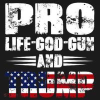 Pro Life God Gun And Trump Ornament thumb 1