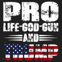 Pro Life God Gun And Trump Hat thumb 2