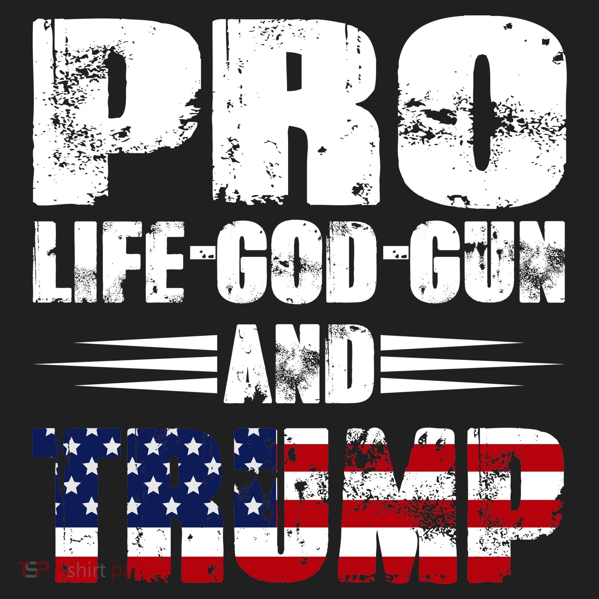 Pro Life God Gun And Trump Hat