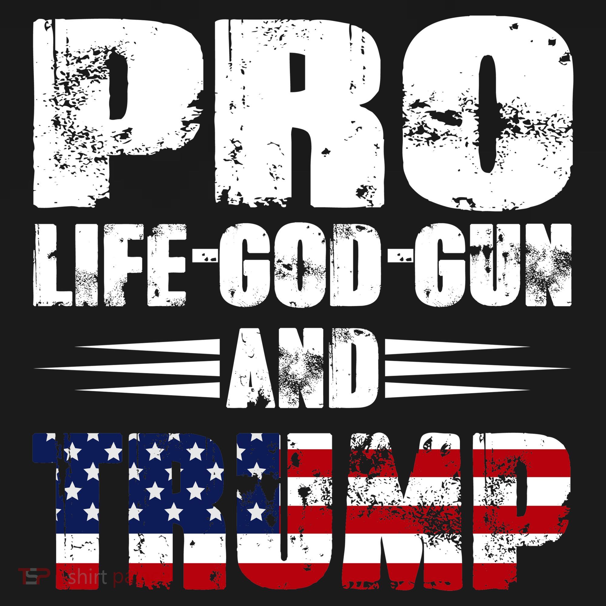 Pro Life God Gun And Trump Toddler Hoodie