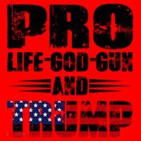 Pro Life God Gun And Trump Santa Hat thumb 1