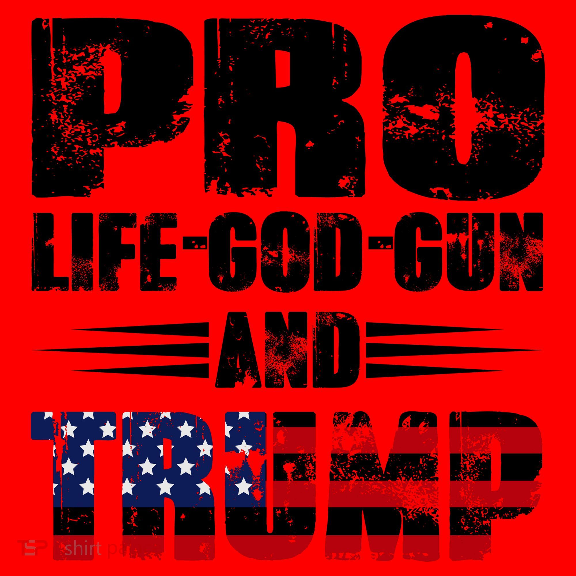 Pro Life God Gun And Trump Santa Hat
