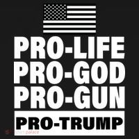 Pro-Life Pro-God Pro-Gun Pro-Trump Bucket Hat thumb 4